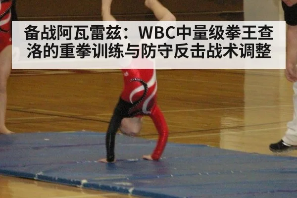 备战阿瓦雷兹：WBC中量级拳王查洛的重拳训练与防守反击战术调整
