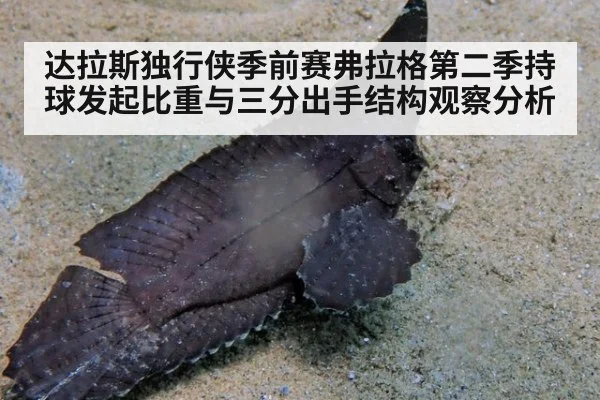达拉斯独行侠季前赛弗拉格第二季持球发起比重与三分出手结构观察分析